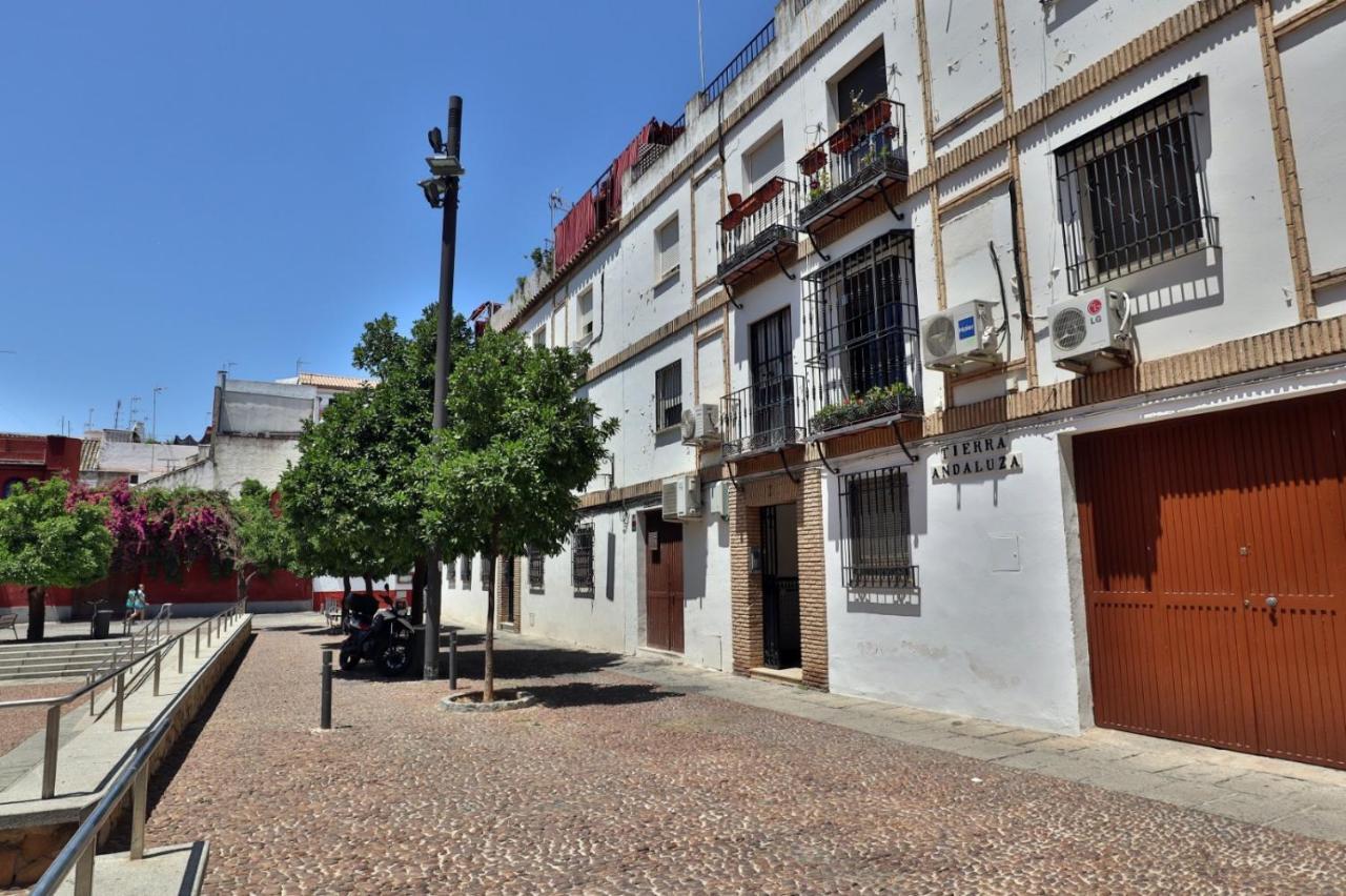 New Apartamento Tierra Andaluza Junto Mezquita Córdoba Eksteriør billede